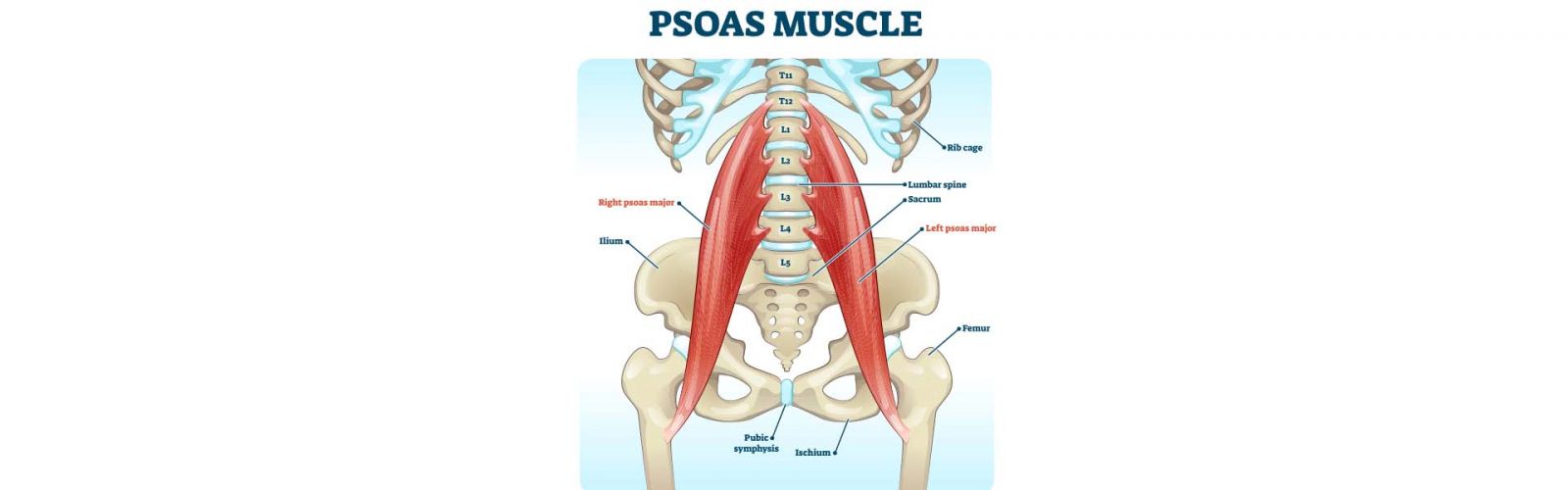 Nicki's Magic Touch Images